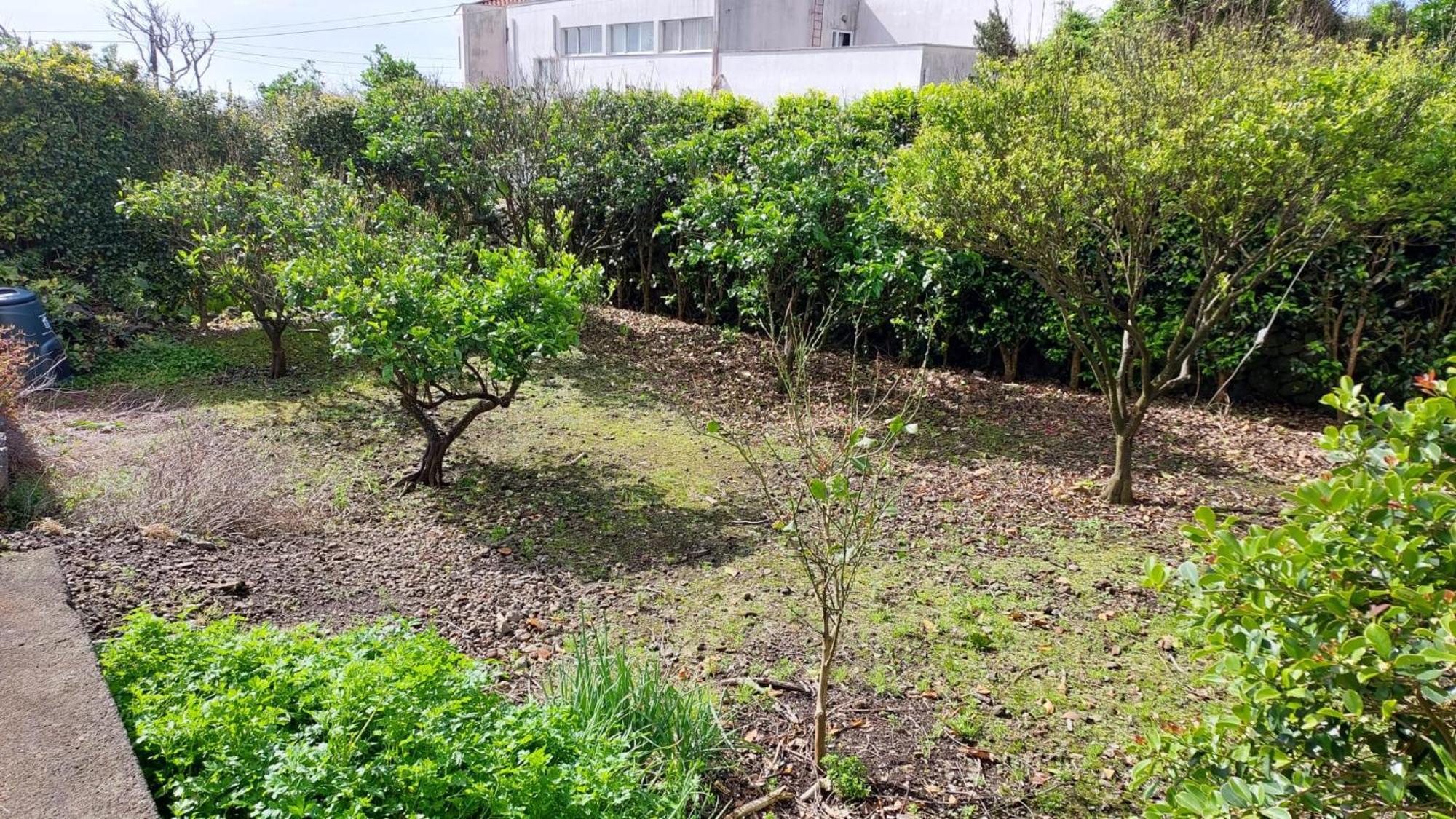Retiro Das Camelias 1 Lajes das Flores Exteriér fotografie
