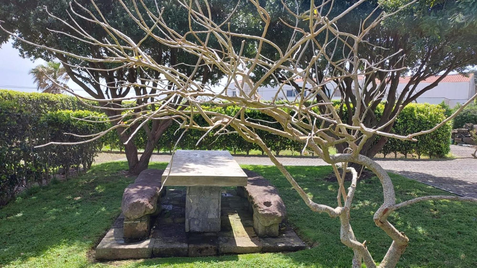 Retiro Das Camelias 1 Lajes das Flores Exteriér fotografie